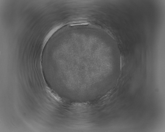X0000076050147200610201931