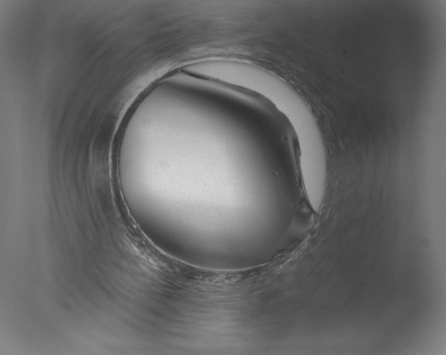 X0000076050148200610201931