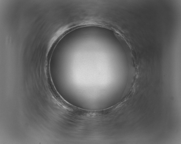 X0000076050152200610201931