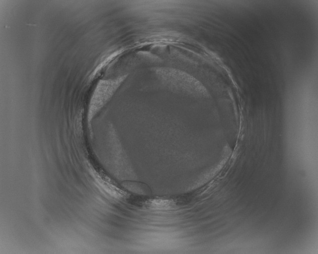 X0000076050154200610201931