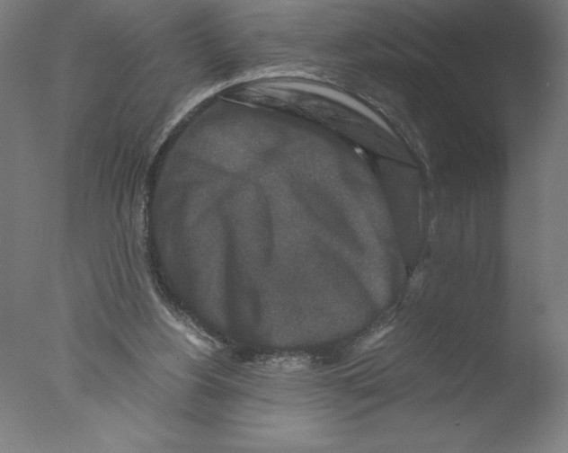 X0000076050156200610201931