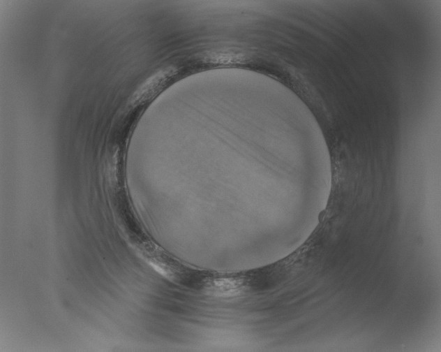 X0000076050163200610201931