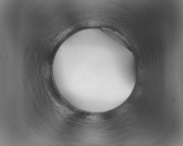 X0000076050164200610201931