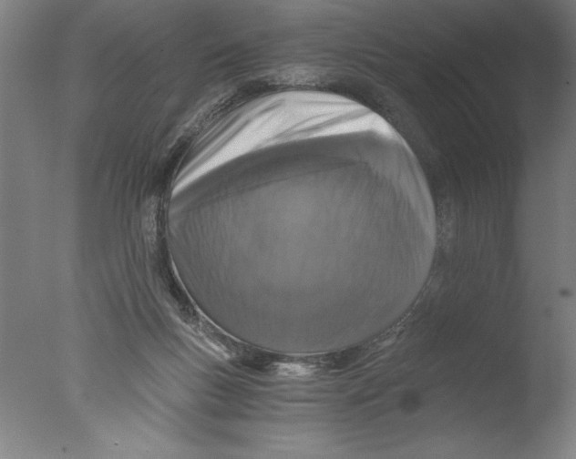 X0000076050167200610201931