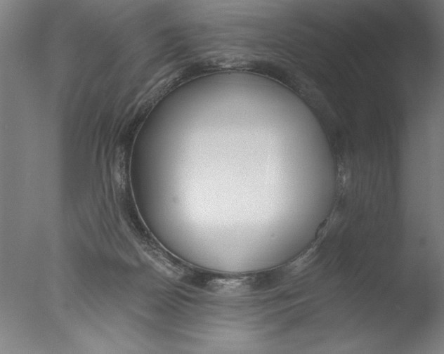 X0000076050170200610201931