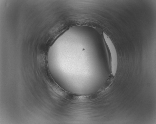 X0000076050184200610201932