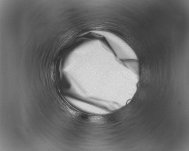 X0000076050189200610201932