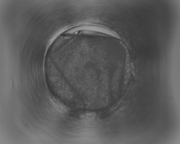 X0000076050196200610201931