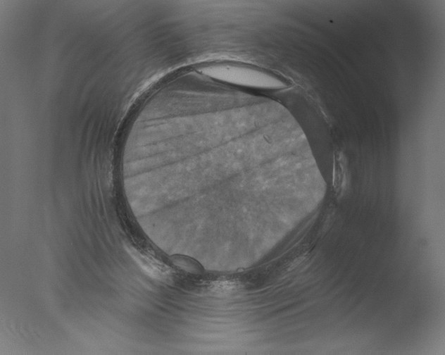 X0000076050204200610201931