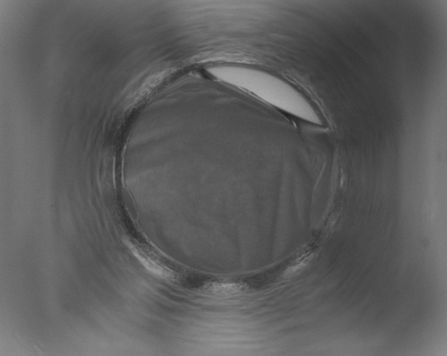 X0000076050205200610201931