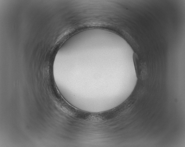 X0000076050207200610201931
