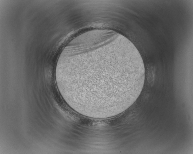 X0000076050208200610201931
