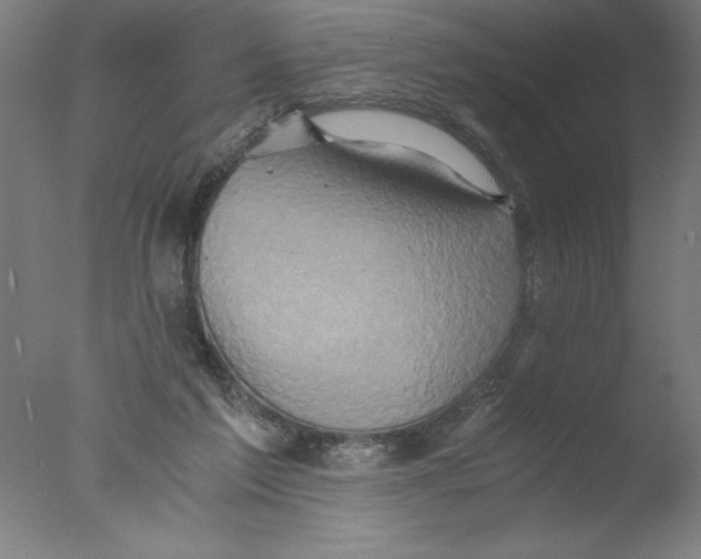 X0000076050213200610201931