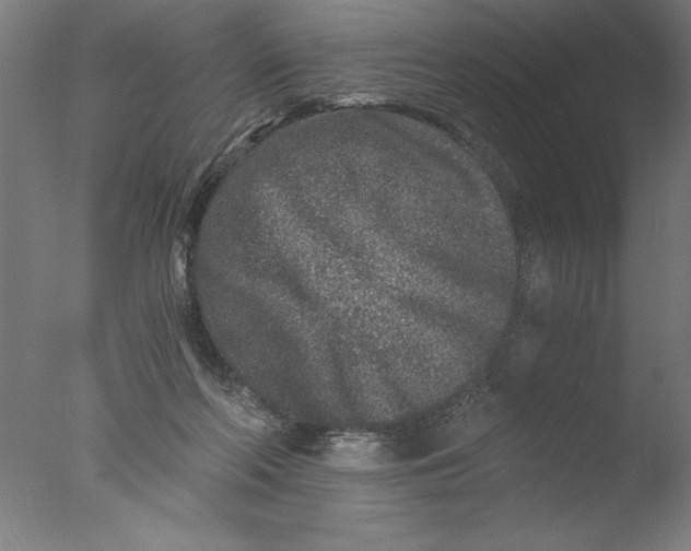 X0000076050214200610201931