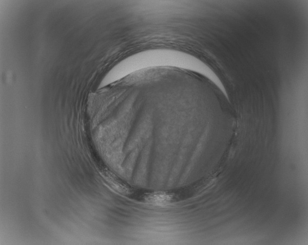 X0000076050217200610201930
