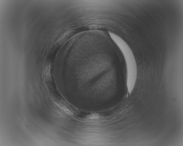 X0000076050219200610201930