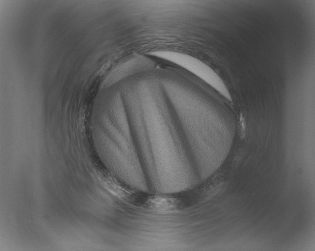 X0000076050221200610201930