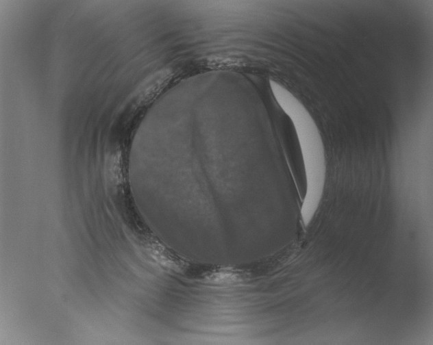 X0000076050224200610201930