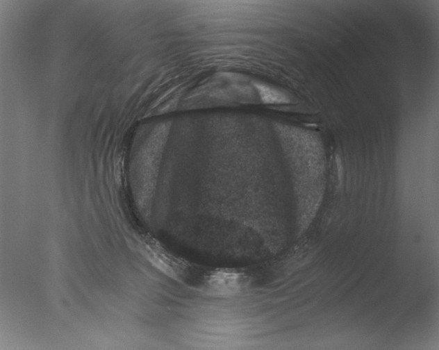 X0000076050227200610201930