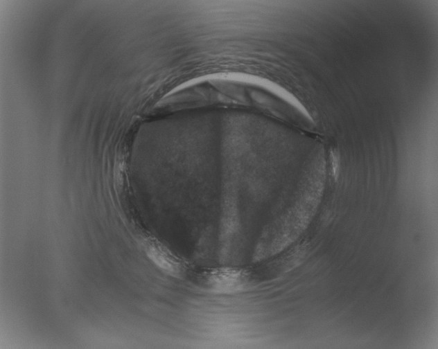 X0000076050235200610201930