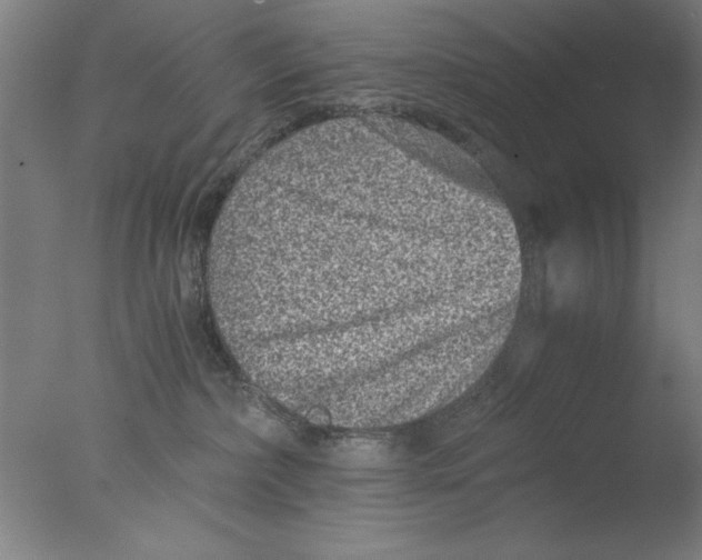 X0000076050236200610201930