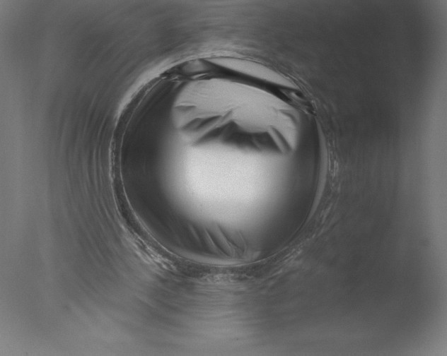 X0000076050244200610201929