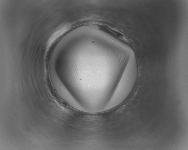 X0000076050245200610201929