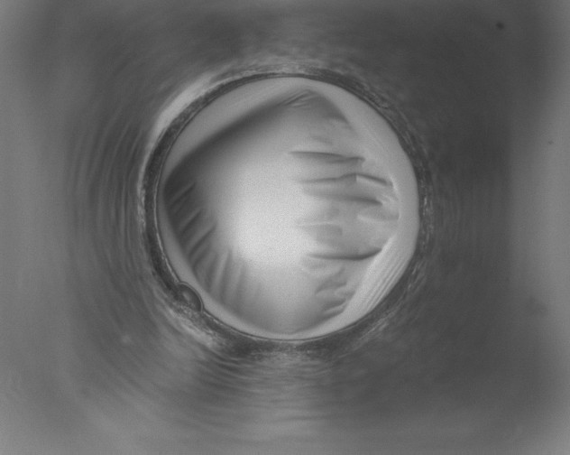 X0000076050246200610201929