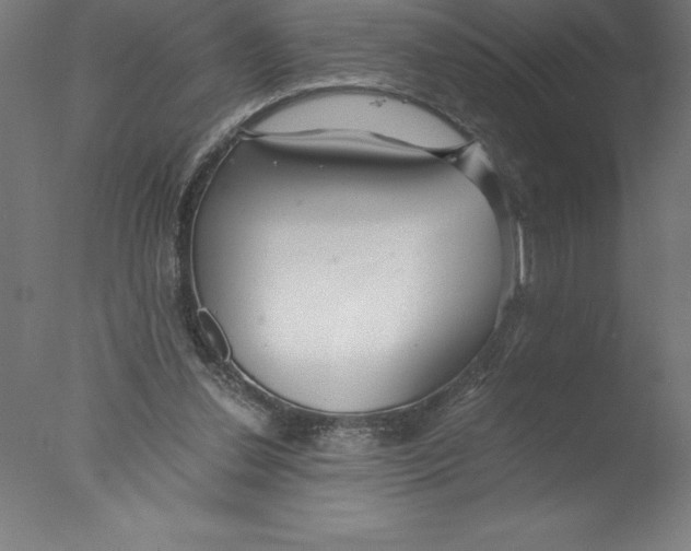 X0000076050252200610201929