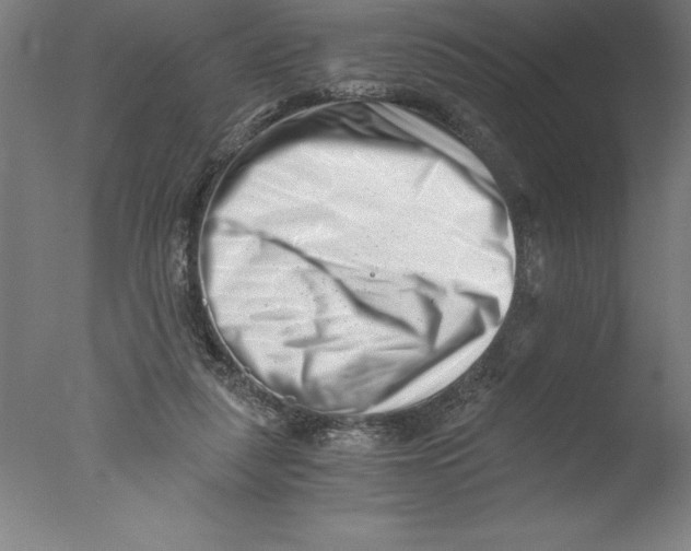 X0000076050259200610201930