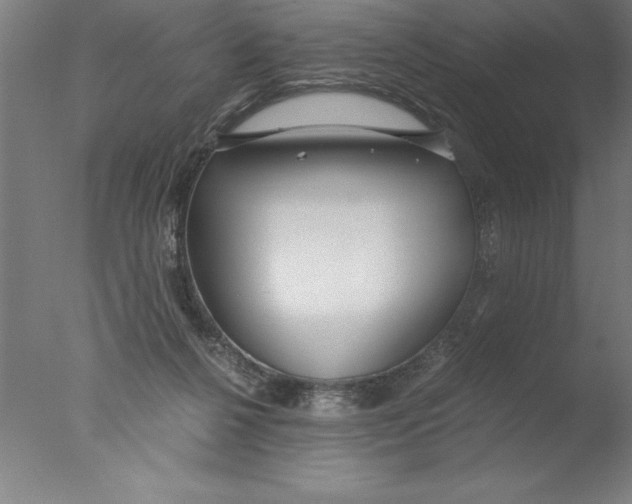 X0000076050264200610201930