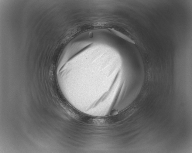 X0000076050265200610201930
