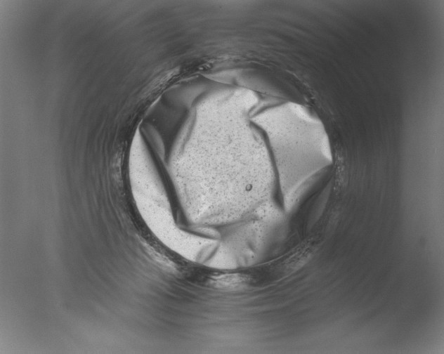 X0000076050269200610201930