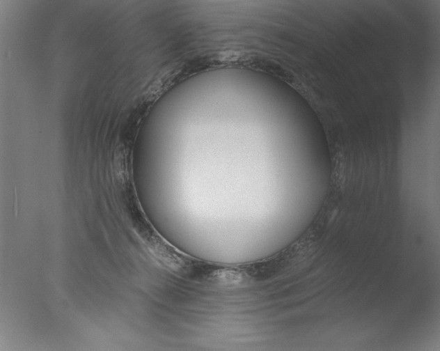X0000076050272200610201930