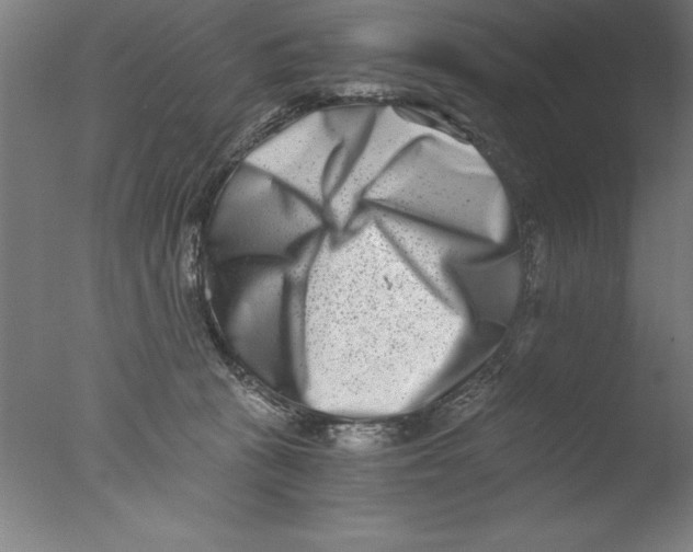 X0000076050273200610201930