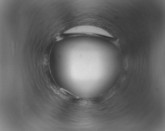 X0000076050284200610201930