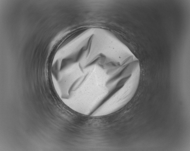 X0000076050294200610201929
