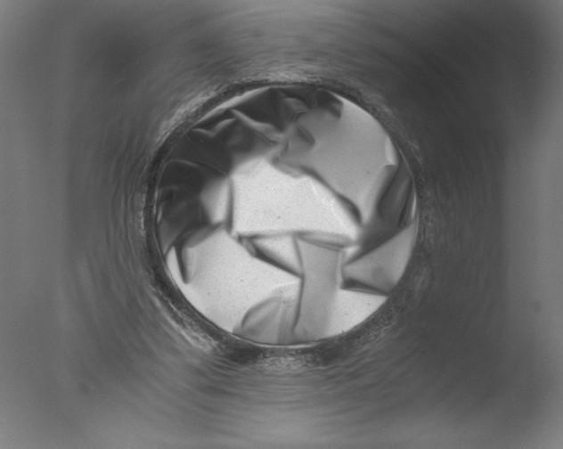 X0000076050299200610201929