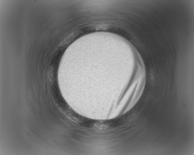 X0000076050311200610201929