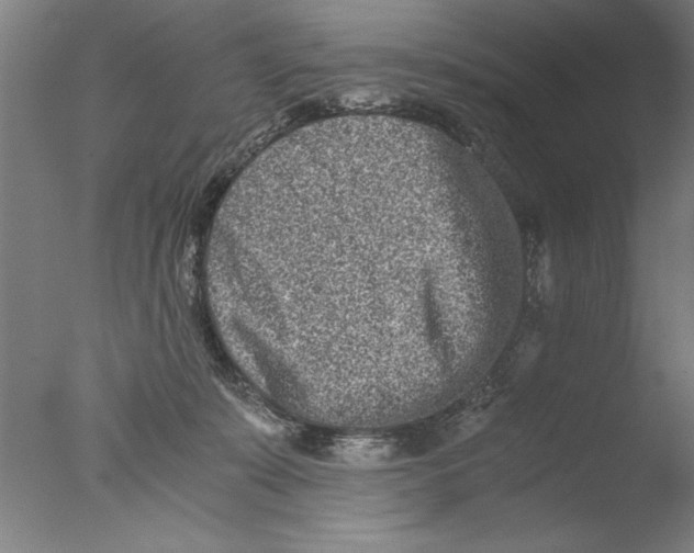 X0000076050319200610201929