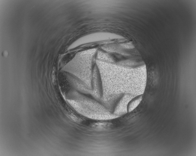 X0000076050323200610201929