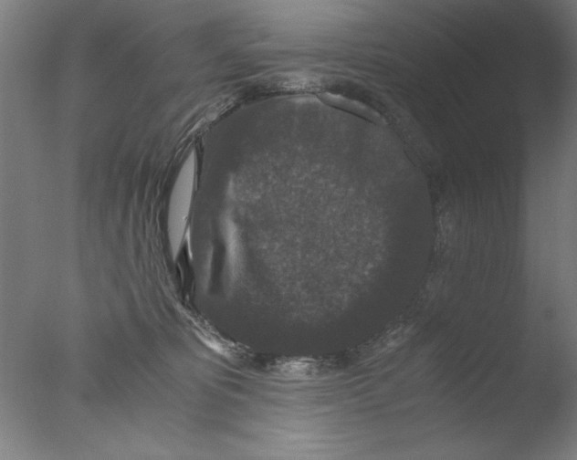 X0000076050325200610201929