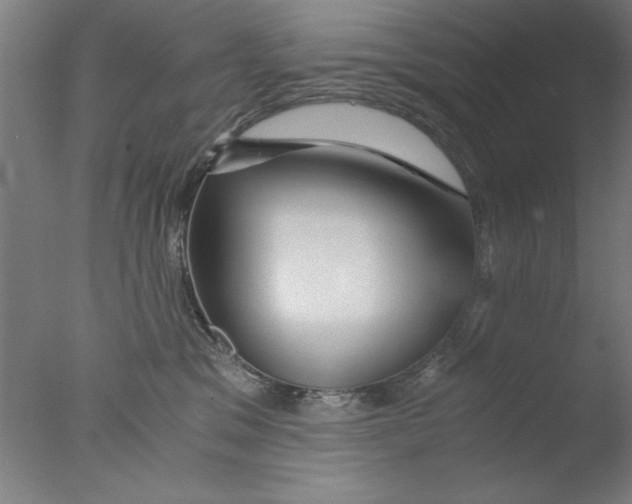 X0000076050329200610201929