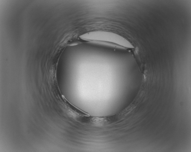 X0000076050333200610201929