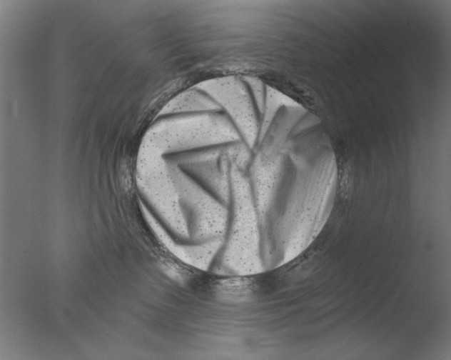 X0000076050335200610201928