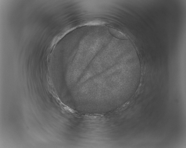 X0000076050337200610201926
