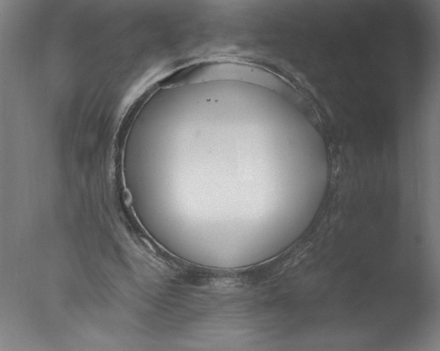 X0000076050344200610201926