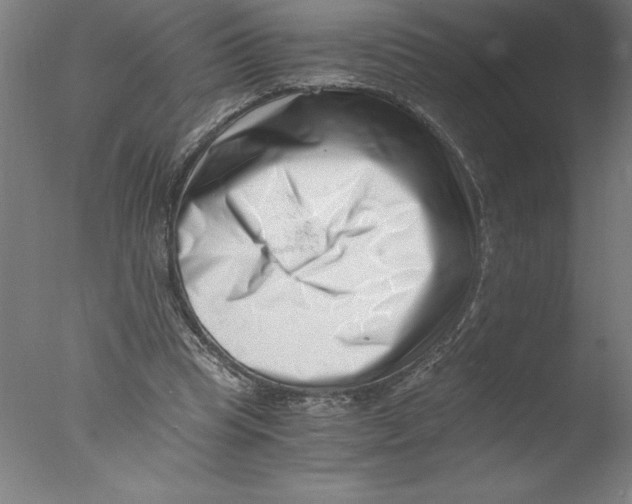 X0000076050345200610201926