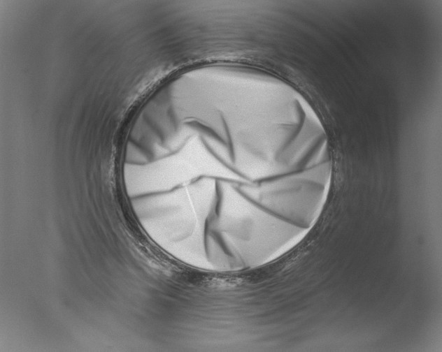 X0000076050346200610201927