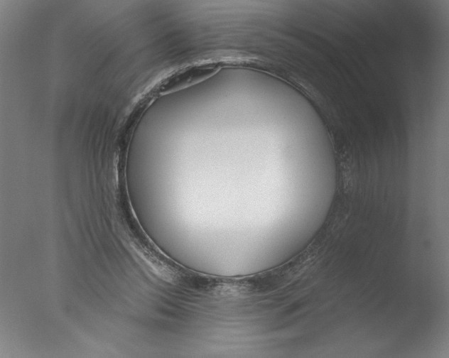 X0000076050350200610201927